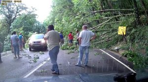 На ВАЗ 2109 упало дерево (СОЧИ)14.07.14