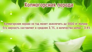Породы коров. Интересные породы коров.От распространенных,до редких пород коров.