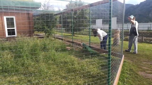 Алтай 2021 смотреть онлайн