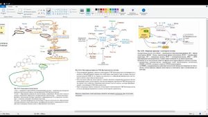 Обмен, синтез и регуляция холестерола. Поступление с пищей, транспорт. Обратный захват холестерола