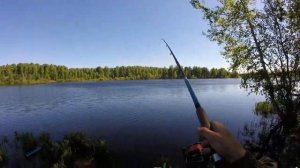 Рыбалка на фидер , Ловля рыбы на фидерную снасть (Рыбалка видео).....Рыбак 35