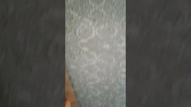 Сплит JAX смотреть онлайн