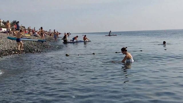 149.Нереальная жара в Сочи!Что происходит?Сложно найти место на пляже!Погода в Сочи сегодня 01.11.2 смотреть онлайн