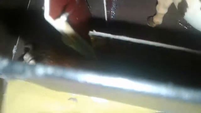 Моя мини конюшня (часть 2) смотреть онлайн