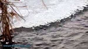 Околдую тебя