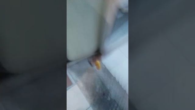 как приготовить кукурузу в домашних условиях смотреть онлайн