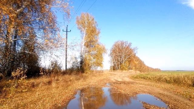 Октябрь в Цвеленево  David Garrett Meditation Фото Татьяна Конышева Монтаж Екатерина Демидова