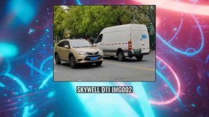 Skywell D11