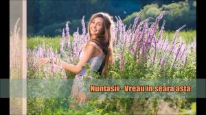 Muzica Moldoveneasca vol. 1