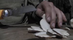 Чипсы из белых грибов. Сушим грибы.