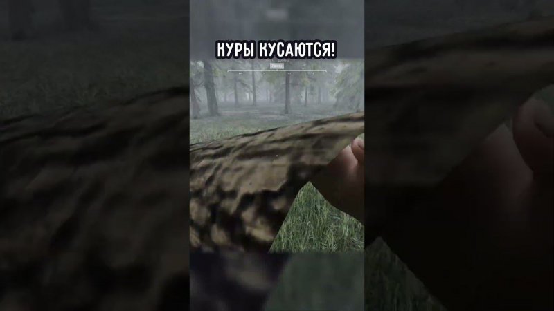 КУРЫ КУСАЮТСЯ! | #ranchsimulator