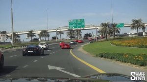 Ferrari TAKEOVER of Dubai! LaFerrari, F12tdf, 599 GTO | EXPERIENCE