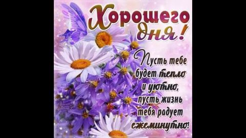 Хорошего воскресного дня! Хорошего воскресенья! Счастливого воскресенья!