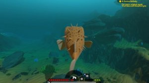 РЫБА ПУЗЫРЬ АТАКУЕТ АКУЛ, ПРОХОЖДЕНИЕ ИГРЫ | Feed and Grow Fish