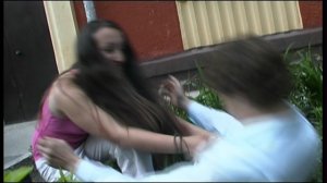 Палисадник