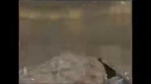 Kingpin: Life of Crime / Весь сборник нецензурных выражений