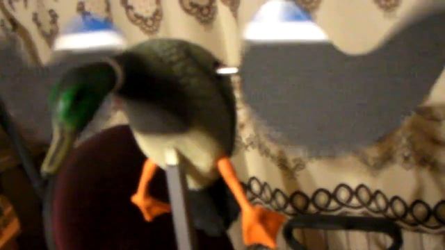 Махокрыл для охоты на уток смотреть онлайн