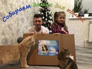 Дом для кошек!