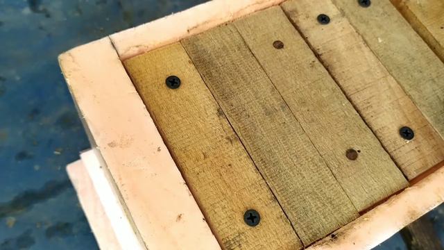 Мои мининуклеусы. Проверка на засев маток. 07/07/2021. смотреть онлайн