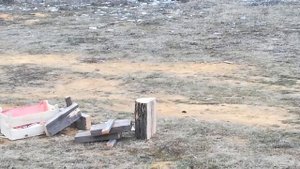 Пуля 12 калибра пробьёт дерево 15 см?