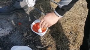 Помидоры на углях. Рецепт