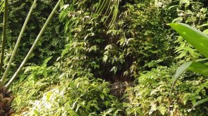 Ранняя атмосфера. Первичная атмосфера Земли. Состав. Первые бактерии. Кислород железорудные формаци