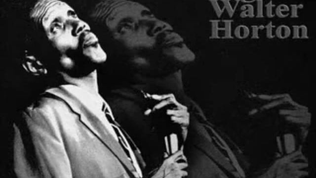 Big Walter Horton - Walter's Shuffle  - Dimitris Lesini Greece