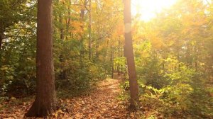 ЧТО ТАКОЕ ХРИСТИАНСКИЙ ЭГРЕГОР? ОТВЕТ НА ВОПРОС