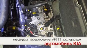 ОТ УГОНА PROЗАМОК   PROSECURITY GEARLOCK