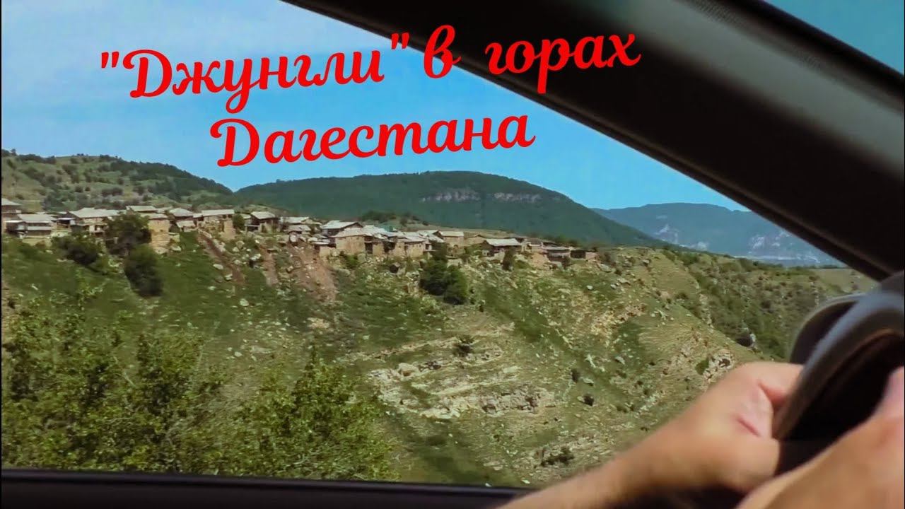 В лес за здоровьем. Село Канасираги. смотреть онлайн