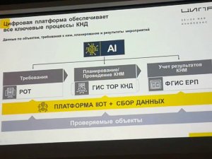 Конрольно надзорные органы Цифровизация Автоматизация Цифровая Трансформация Иннополис ЦИПР 2019