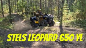 Stels Leopard 650 YL InDrive