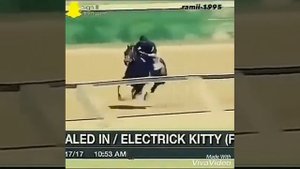 Самая быстрая лошадь в мире