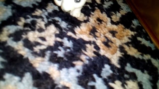 Видео про домики смотреть онлайн