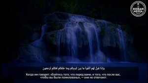 ОЧЕНЬ КРАСИВОЕ ЧТЕНИЕ / Чтец   Мансур Ас-Салими сура Ясин