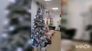MARINA REZENKOVA BEAUTY SALON. Песчанокопское