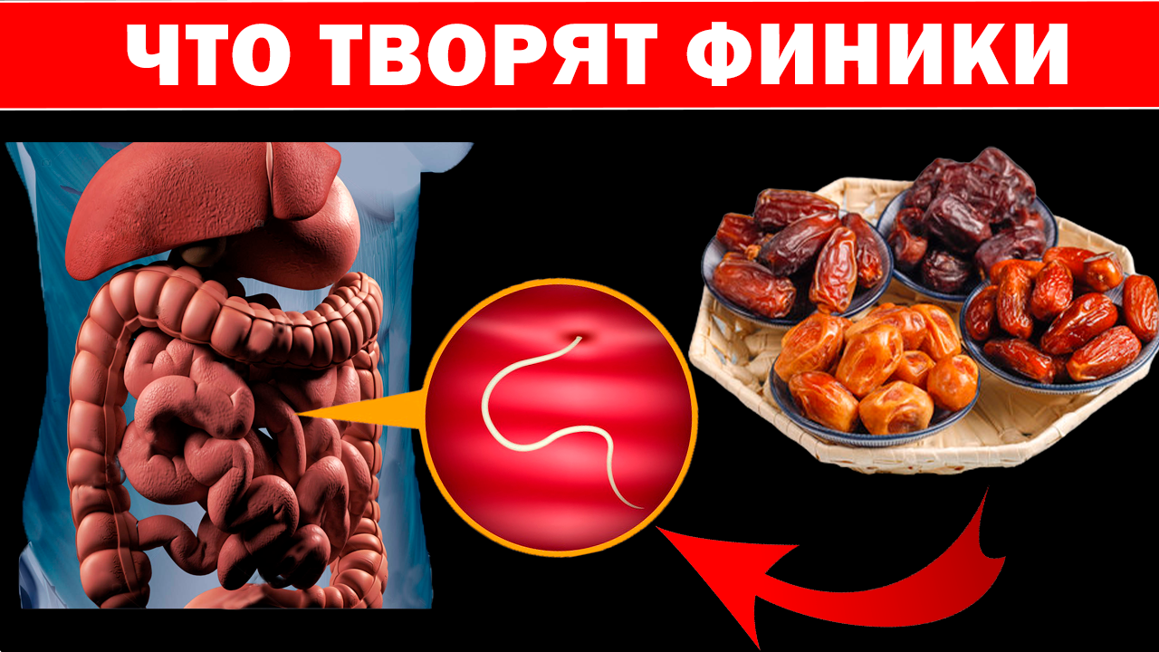 Многие кушают ФИНИКИ, и даже не знают о пользе и вреде фиников ! В чем Тайна КОСТОЧКИ финика?