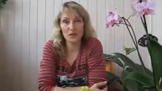 Фен шуй для дома, квартиры, офиса, привлечение денег