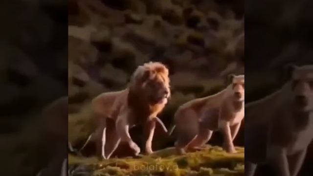 18 марта 2020 г. смотреть онлайн