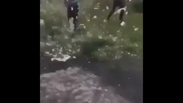 ЛОУ-КИК КАК БИТЬ И ТРЕНИРОВАТЬ| УДАРЫ НОГАМИ | MASTER CAMP смотреть онлайн