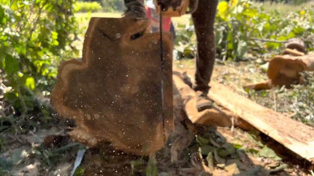 ไม้สักต้นนี้ทำผมขาดทุน ‼️ смотреть онлайн