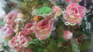 "Цветы Снежной королевы"- необычная зимняя выставка цветов