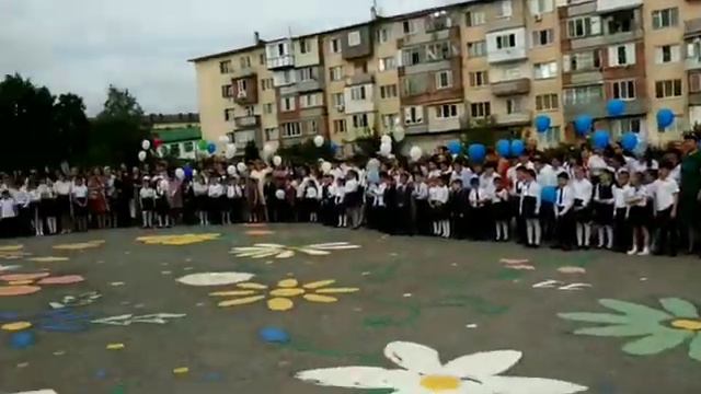VID 21891213 193628 756 смотреть онлайн