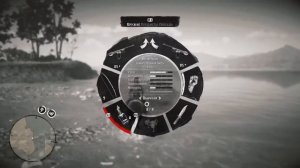 Red Dead Redemption 2 - Где найти Игуану?