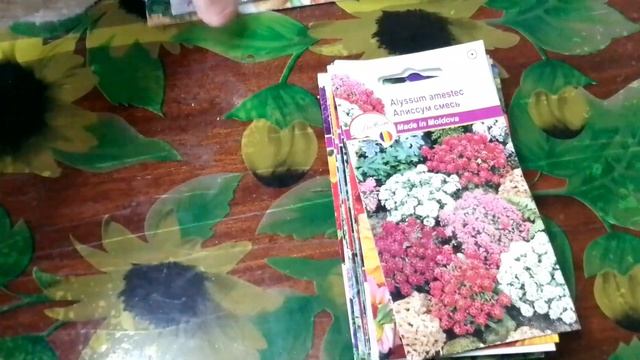 Обзор семян купленных в магазине "Local" Молдова.