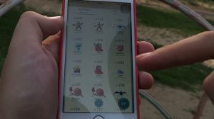 Покемон Гоу  - игра (Pokemon Go -  game)