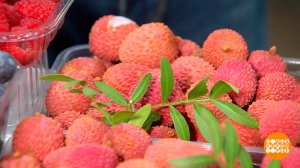 Личи и с чем их едят. Доброе утро. Фрагмент выпуска от 01.02.2023