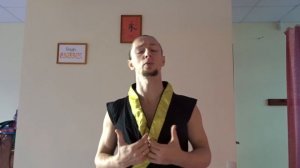 Система самостоятельных тренировок по Кунг Фу. Вступление.