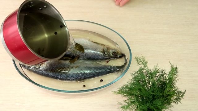 Сельдь малосольная, пряная  Домашнего засола