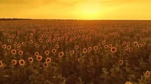 Marc Almond- Ukranian Folk Song